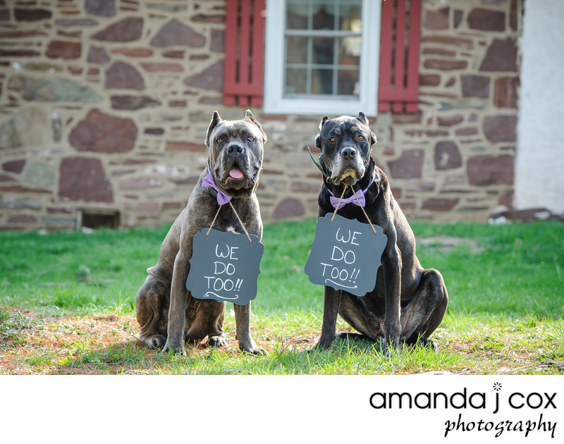 The Barn At Bridge Robert Ryan Catering Photos Philadelphia Main The Barn At Bridge Robert Ryan Catering Photos