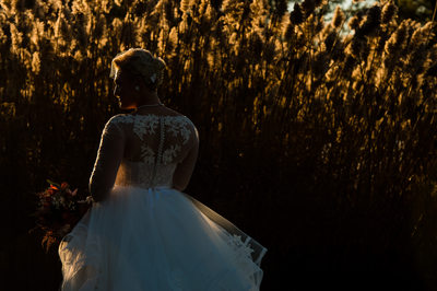 Bride at Sunset with Cattails 