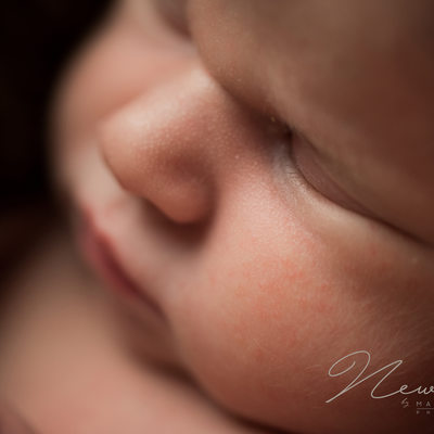 Macro Photographs Newborn Baby South Wales