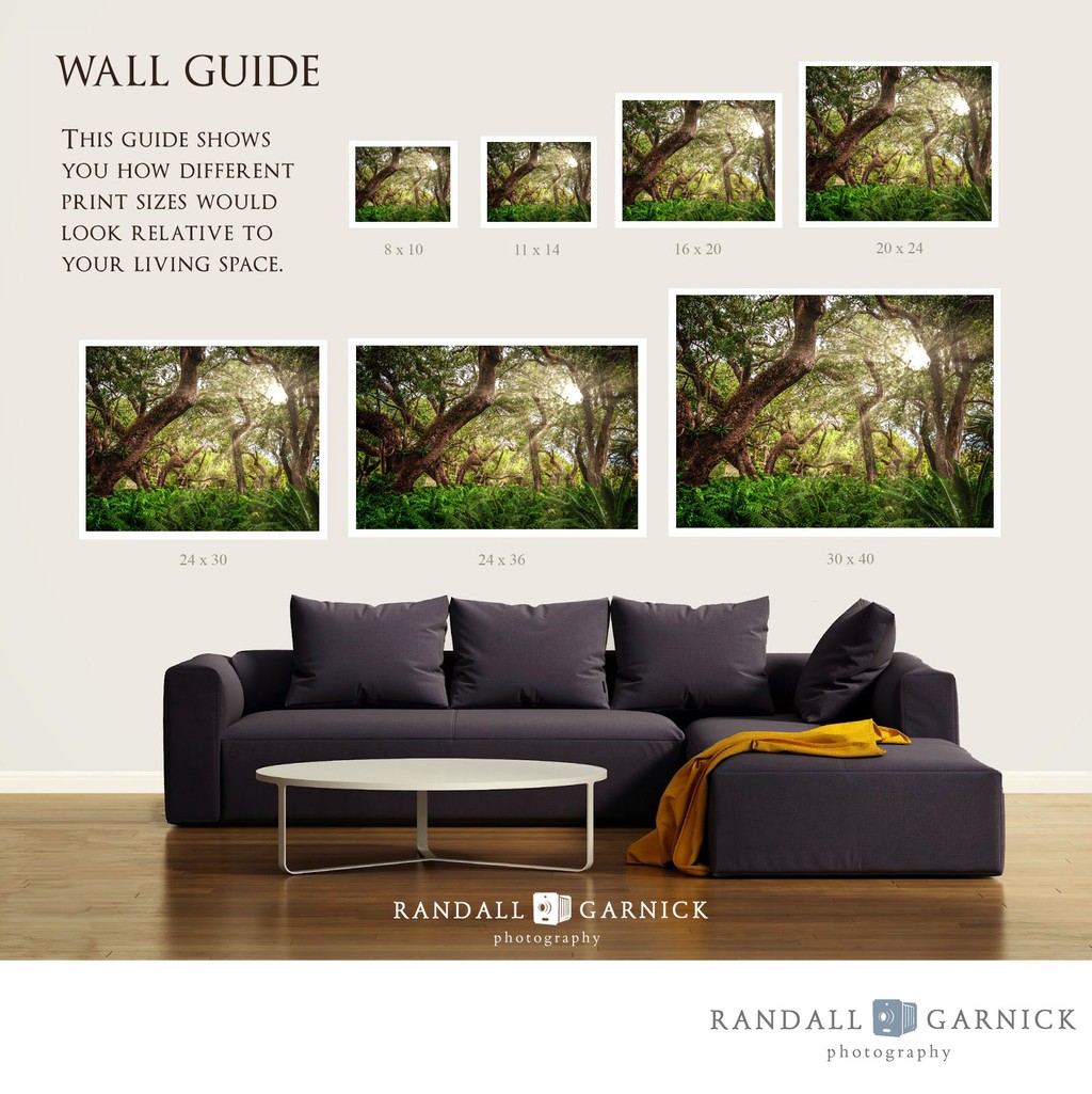 Print size wall guide