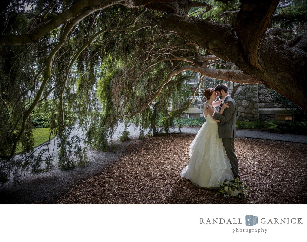 Under weeping tree Blithewold Mansion wedding