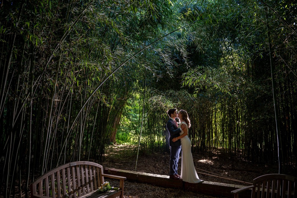 Romantic bamboo grove Blithewold Mansion wedding portrait