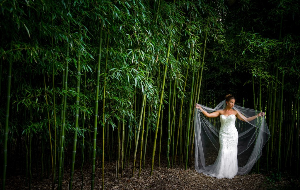 Bride in bamboo grove Blithewold Mansion wedding photography