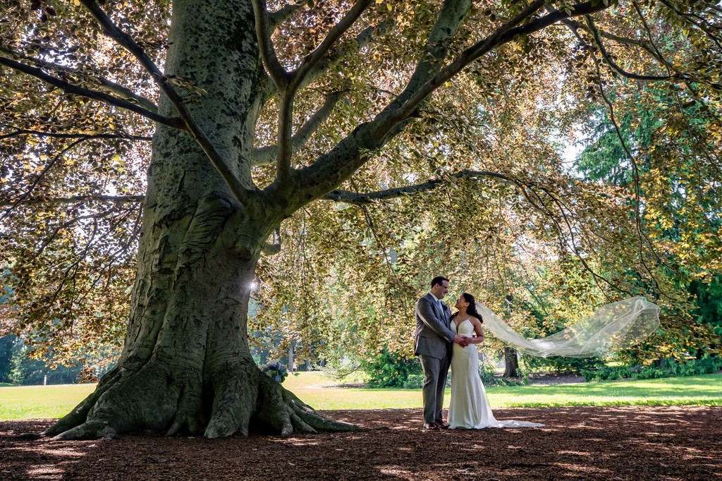 Bride and Groom Portrait Under a Grand Tree at deCordova Museum Weddings