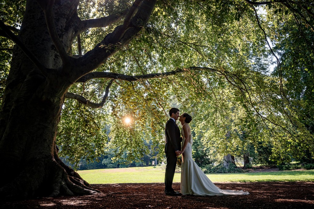 Sunlight Through Trees at deCordova Museum Wedding