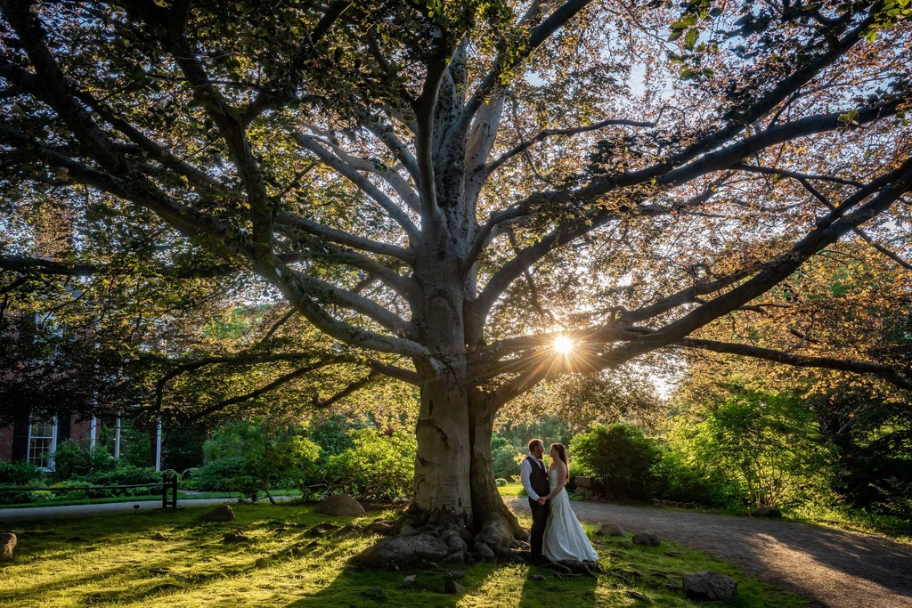 Long Hill Beverly wedding sunset photo with grand estate tree