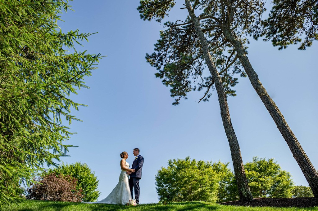 Wedding couple embrace under tall trees at Wequassett