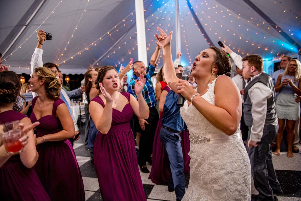 Wedding party cheering during reception – Fern Hill Barn