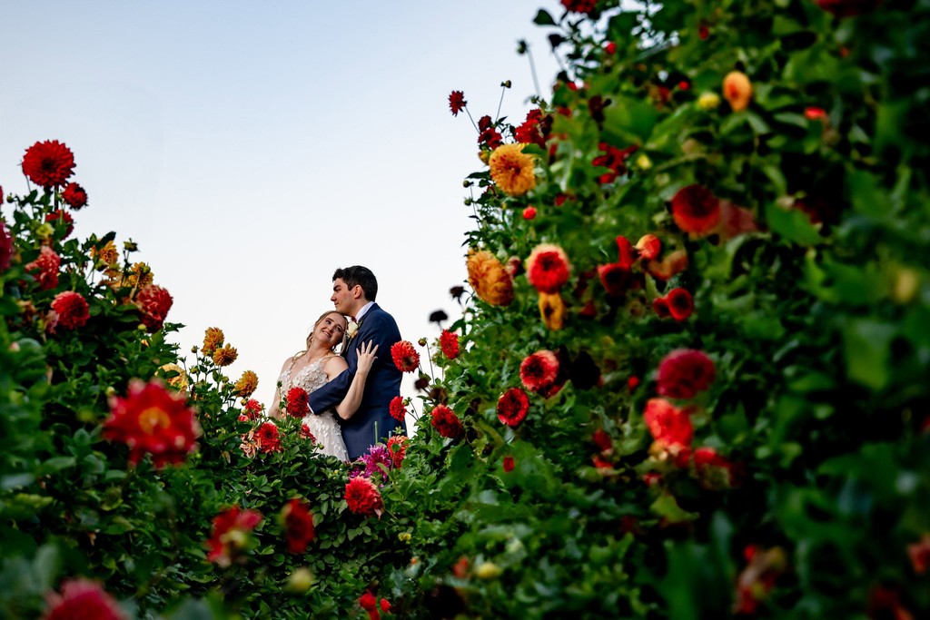 Couple framed by red dahlias in the Fern Hill Barn gardens