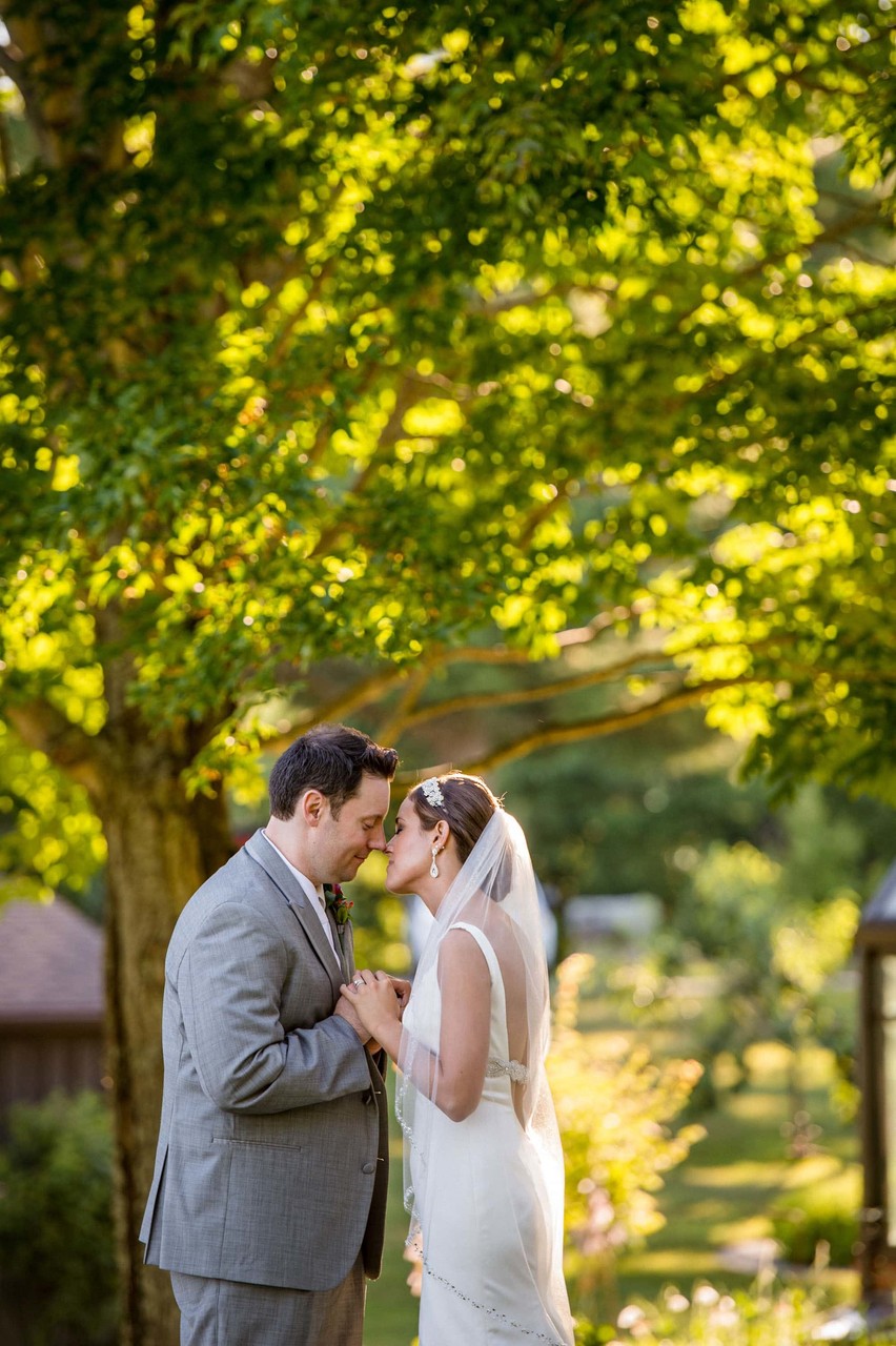 First look under trees at Fern Hill Barn