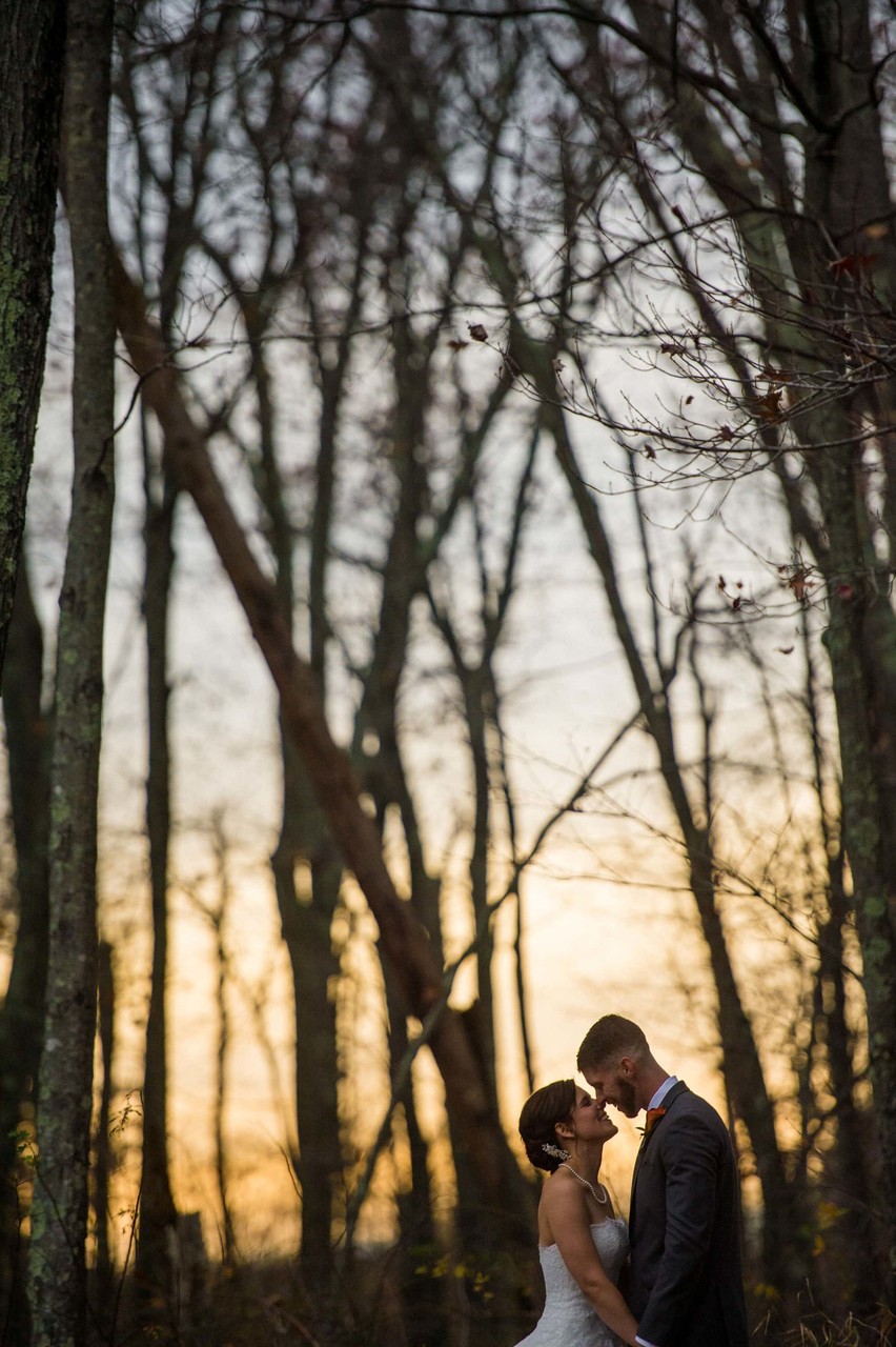 Silhouetted trees during sunset – Fern Hill Barn wedding backdrop