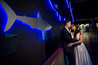 dramatic bride and groom photos at the Boston Aquarium