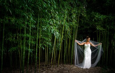 Bride in bamboo grove Blithewold Mansion wedding photography