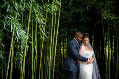 Bride and groom in bamboo grove Blithewold Mansion wedding