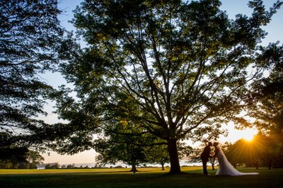 Sunset over trees Blithewold Mansion wedding backdrop