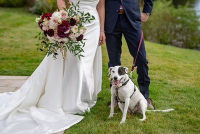 dog-wedding-photo-lakehouse-halifax