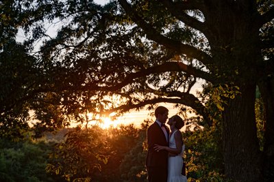 Sunset through the trees at deCordova Museum weddings