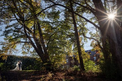 Sunlight streaming through the trees at Elm Bank wedding venue