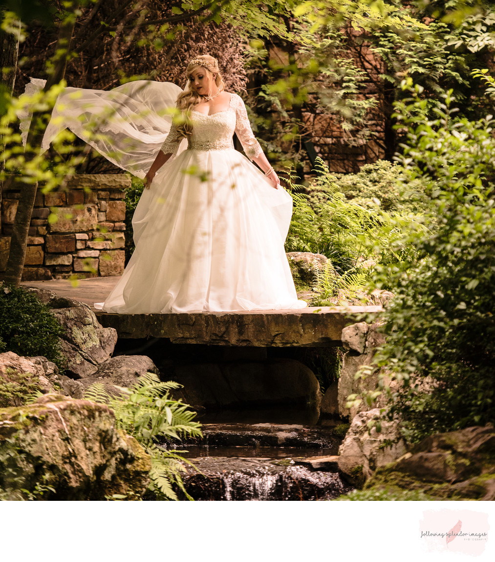 Garvan Garden Wedding Bridals Hot Springs Photographer