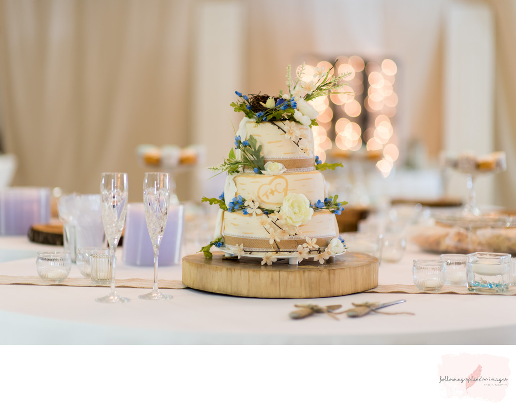 Two Sided Wedding Cake Little Rock Photographer