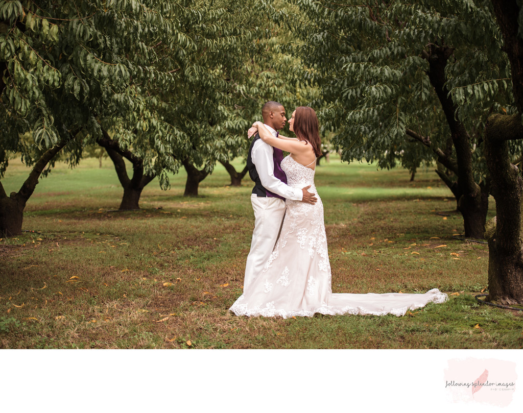 Bride and Groom Kissing in Peach Orchard