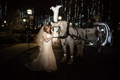 Bride with Horse and Carriage Harding University Wedding 