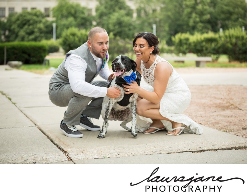 Wedding Outfits for Dogs Milwaukee