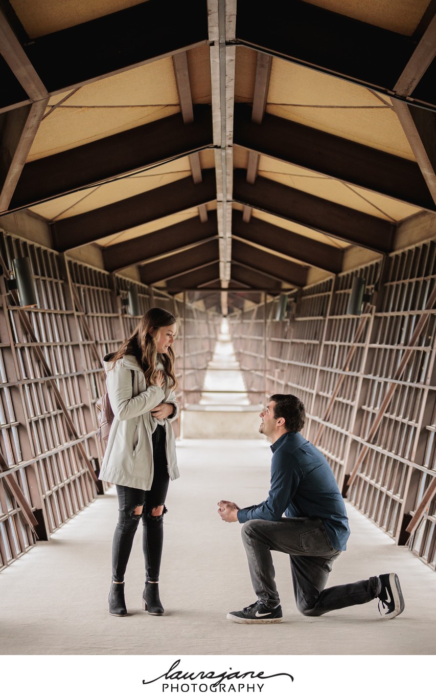 The House on the Rock Proposal