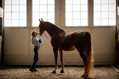 Delafield Equestrian Photographer