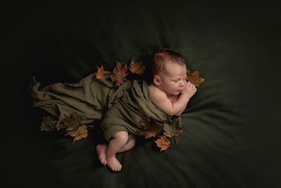 New Berlin Newborn Photographer