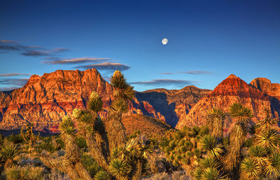 Red Rock Canyon Moonset at Dawn