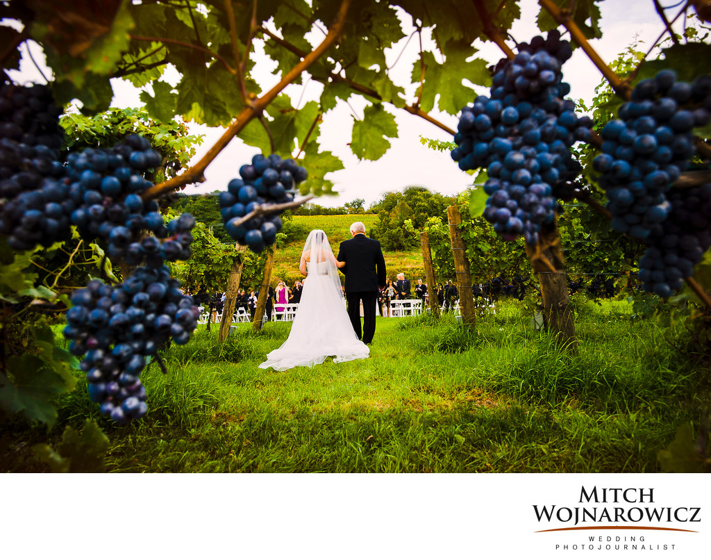 millbrook winery wedding photos