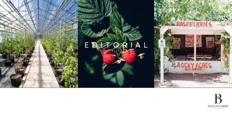 Cover Photos for website - 3