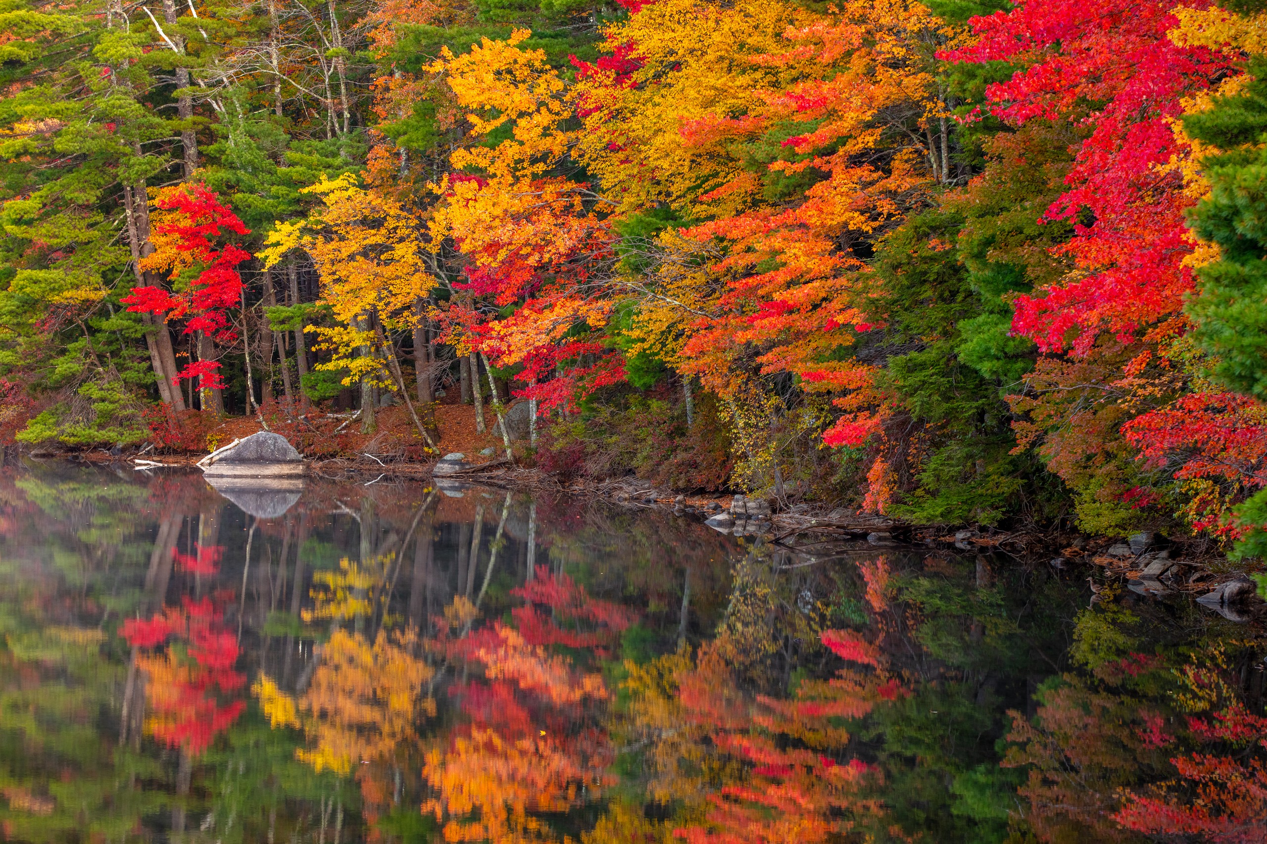 Fall Foliage - New Hampshire - Cape Cod Commercial Photography