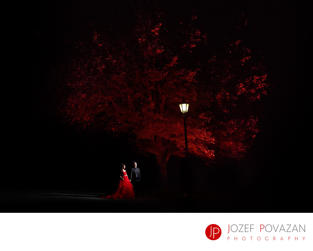 Swan e set night wedding photography by Jozef Povazan