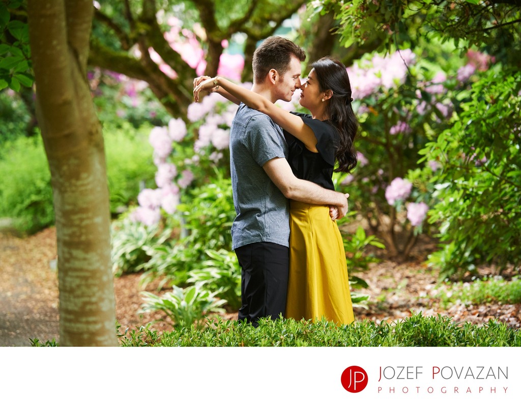 Deer lake engagement pictures in park under big tree