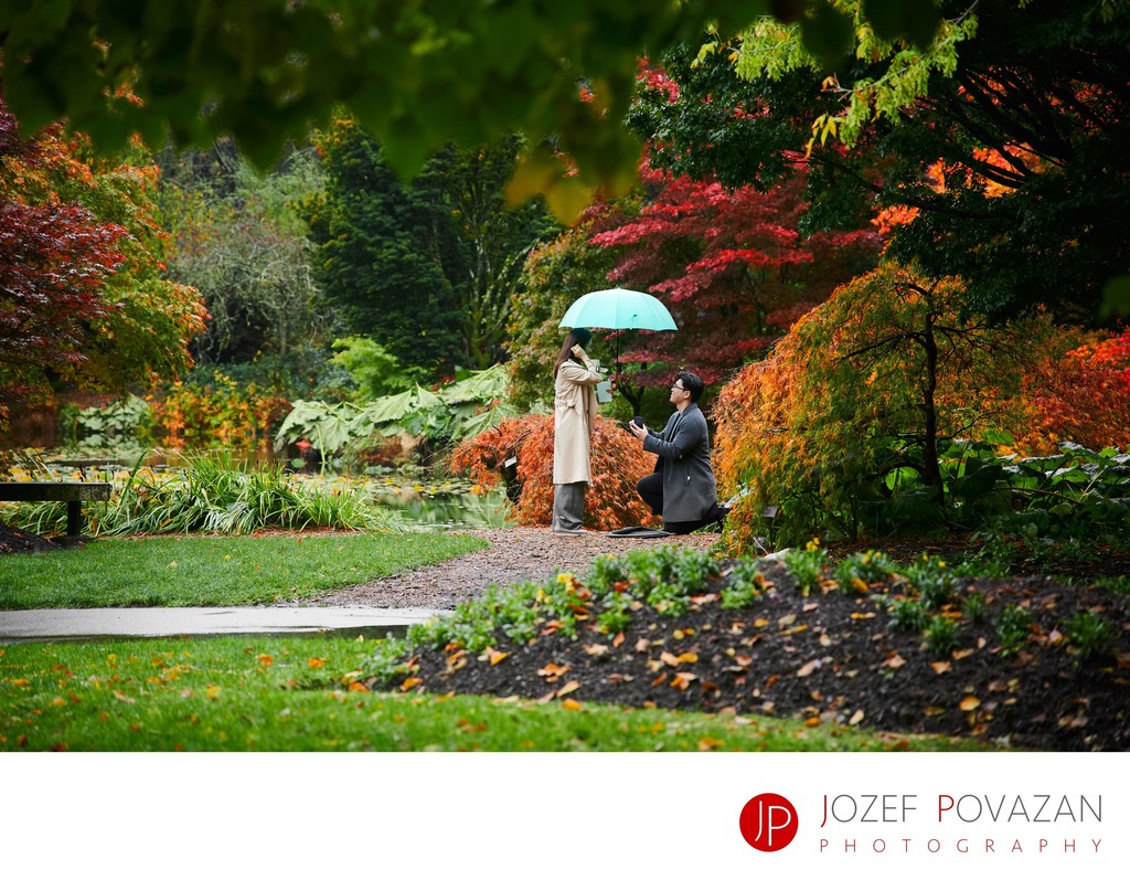 Van Dusen Garden Secret Proposal engagement photography