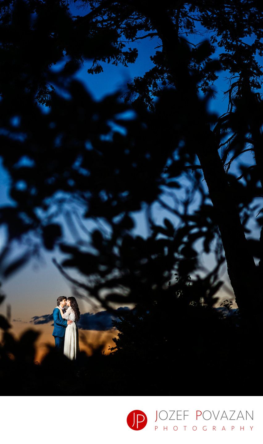 Lighthouse Park Wedding Portraits Scenic Sunset Session