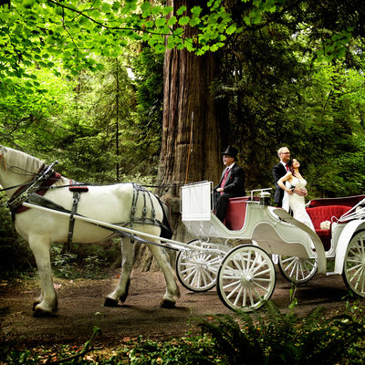 Stanley park Tea House horse carriage wedding photographer