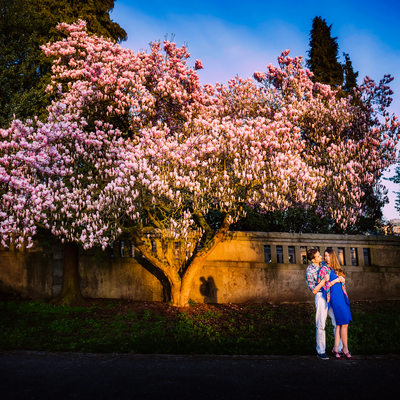 Stanley park cherry blossom romance engagement pictures