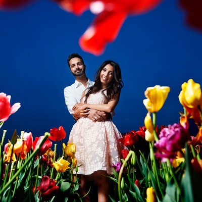Abbotsford tulip festival engagement lifestyle shoot