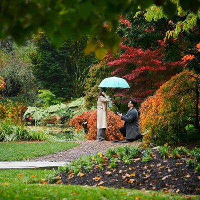 Van Dusen Garden Secret Proposal engagement photography