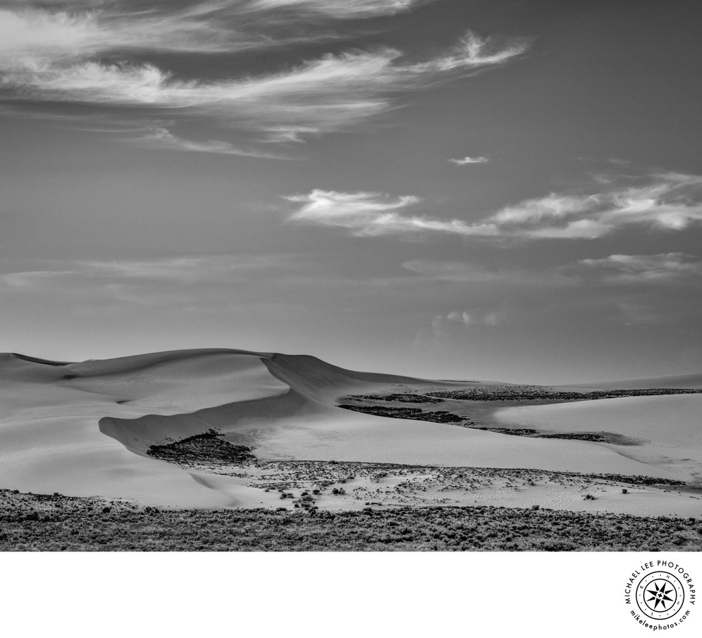 Michael Lee Photography