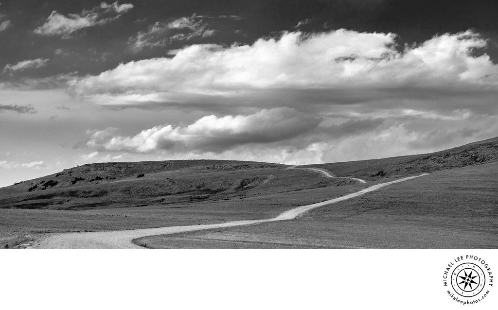 Michael Lee Photography