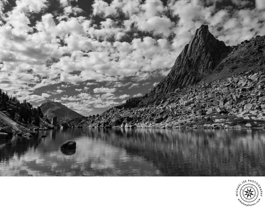 Michael Lee Photography