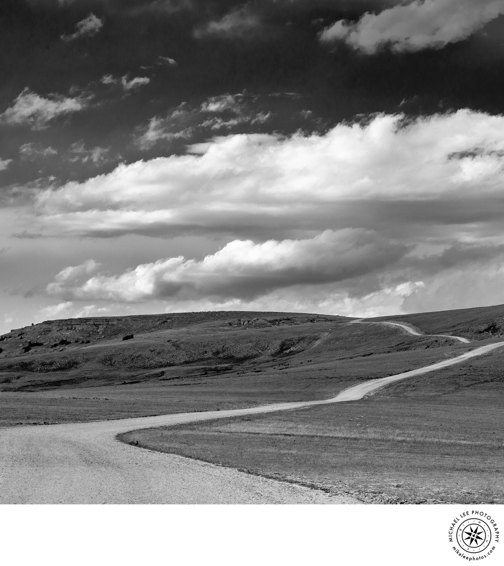 Michael Lee Photography