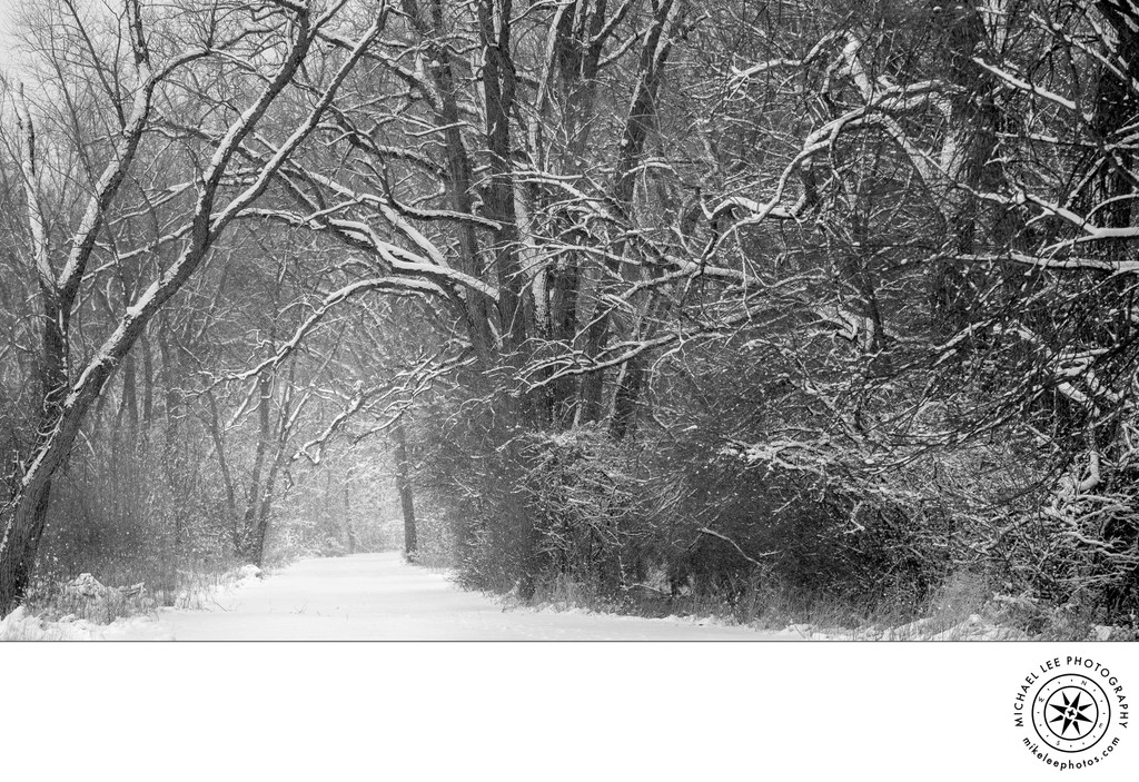 Michael Lee Photography