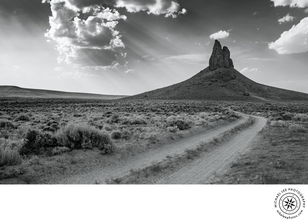 Michael Lee Photography