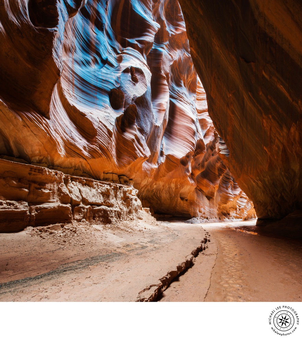 Michael Lee Photography