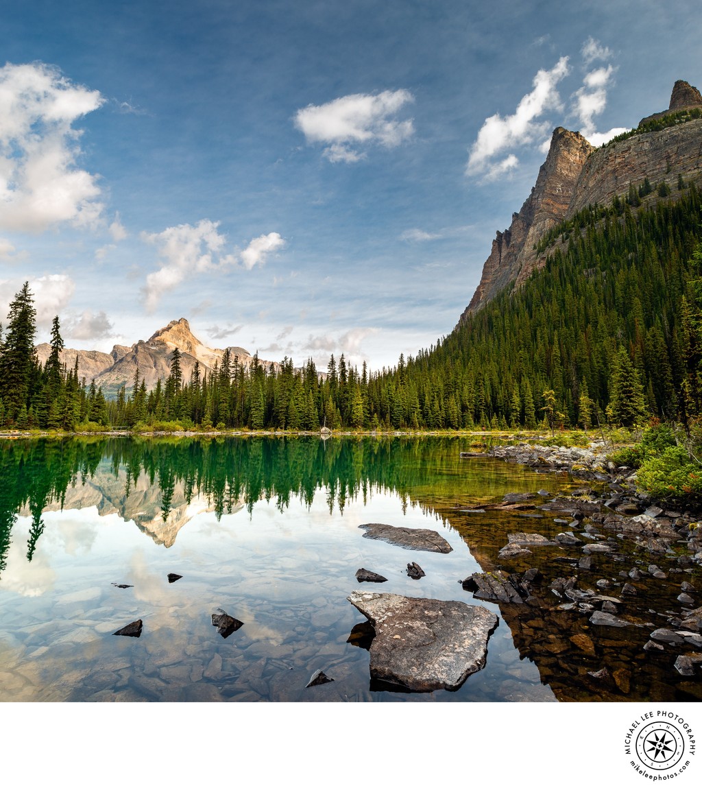 Michael Lee Photography